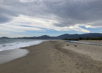 ELNE : Pignon sur Mer s’installe au bocal du Tech