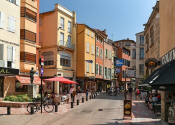 Arbres en ville : Perpignan mauvais élève