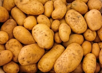 Ce week-end, Matemale fait sa fête à la patate !