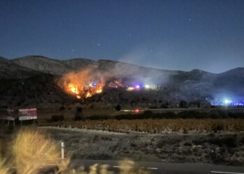 Un feu de forêt virulent détruit 5 hectares dans le parc Écozonia