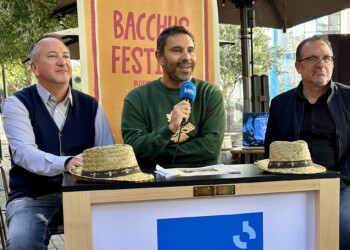 perpignan-pyrenees-orientales-bacchus-valmy