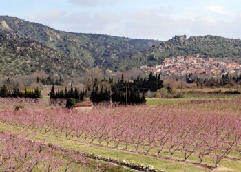 Marché de noël dimanche 10 décembre