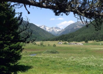 Sauvetage réussi pour deux chiennes coincées à Formiguères