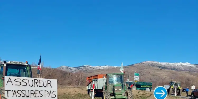 Photo : FNSEA 66 - Manifestation des éleveurs des Pyrénées-Orientales le 16 décembre 2023 à Ur.