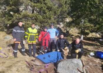 A Bolquère, les pompiers sauvent une biche de la noyade dans un lac gelé