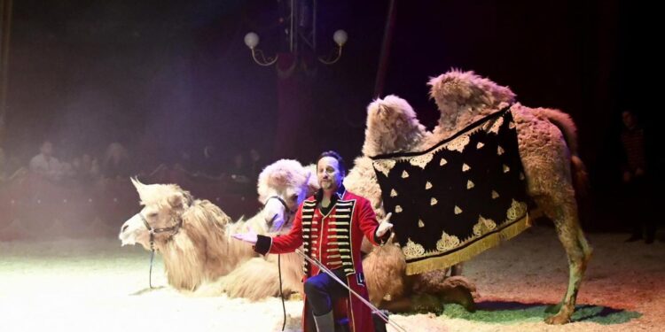 Photo : Facebook Cirque de Venise