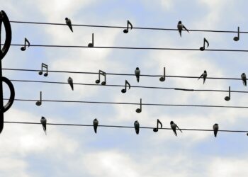 Musique à Perpignan